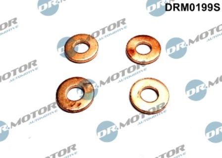 Lizarte DRM0199S - Kit guarnizioni, Iniettore autozon.pro