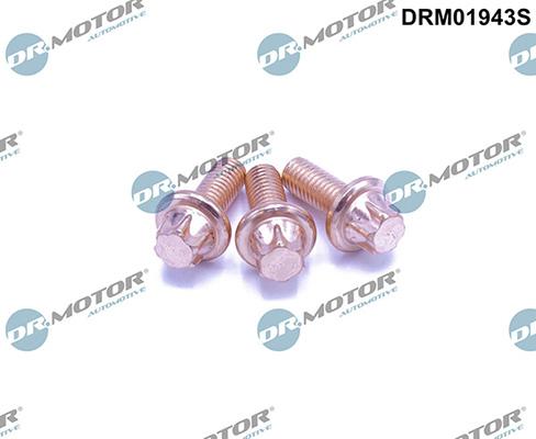 Lizarte DRM01943S - Bullone, Imp. gas scarico autozon.pro