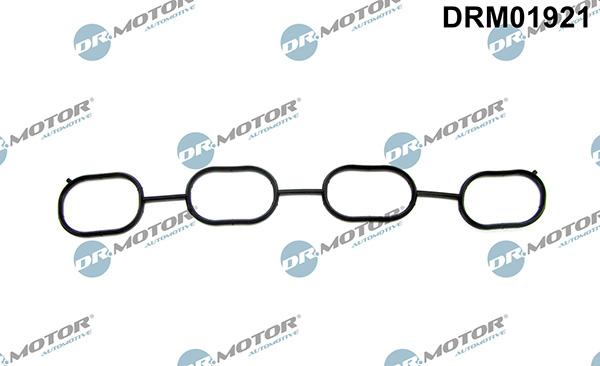 Lizarte DRM01921 - Guarnizione, Collettore aspirazione autozon.pro