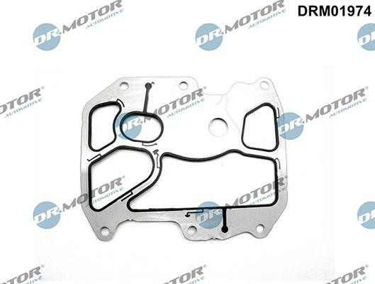 Lizarte DRM01974 - Guarnizione, Radiatore olio autozon.pro