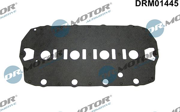 Lizarte DRM01445 - Guarnizione, Copritestata autozon.pro