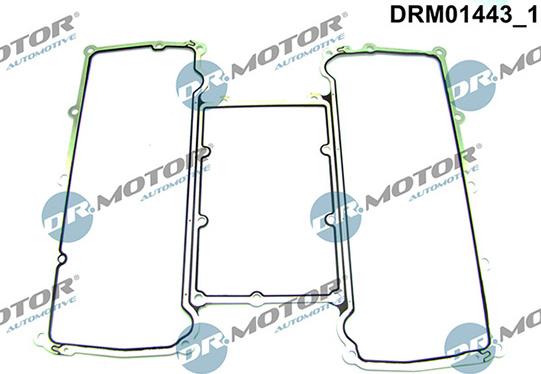 Lizarte DRM01443 - Guarnizione, Collettore aspirazione autozon.pro