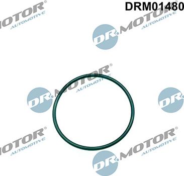 Lizarte DRM01480 - Guarnizione, Pompa iniezione autozon.pro