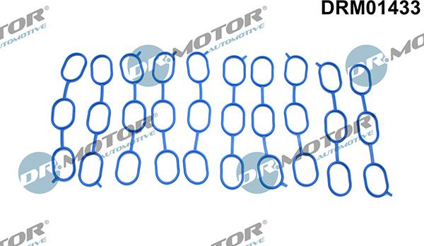 Lizarte DRM01433 - Guarnizione, Collettore aspirazione autozon.pro