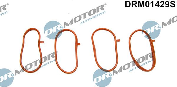 Lizarte DRM01429S - Kit guarnizioni, Collettore aspirazione autozon.pro