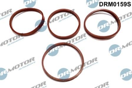 Lizarte DRM0159S - Kit guarnizioni, Collettore aspirazione autozon.pro