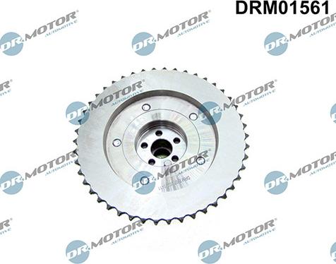 Lizarte DRM01561 - Regolatore albero a camme autozon.pro