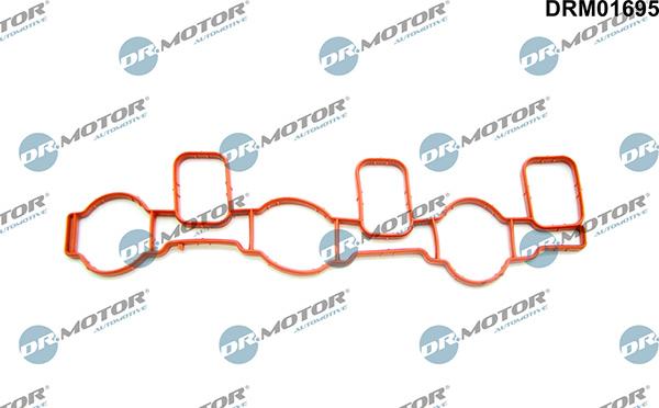 Lizarte DRM01695 - Guarnizione, Collettore aspirazione autozon.pro