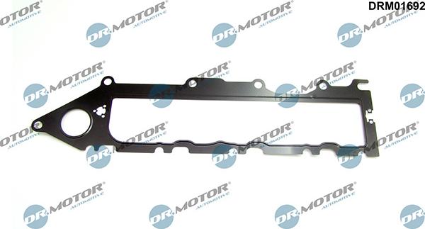 Lizarte DRM01692 - Guarnizione, Collettore aspirazione autozon.pro