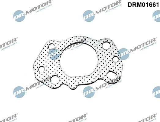 Lizarte DRM01661 - Guarnizione, Collettore gas scarico autozon.pro