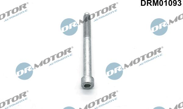 Lizarte DRM01093 - Bullone, Supporto iniettore autozon.pro