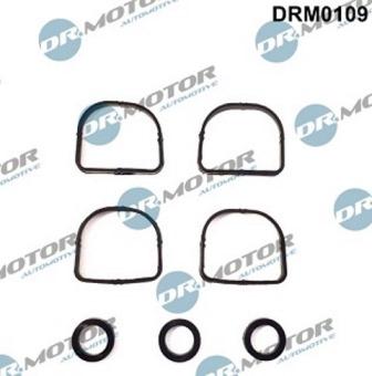 Lizarte DRM0109 - Kit guarnizioni, Collettore aspirazione autozon.pro