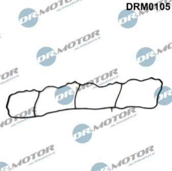 Lizarte DRM0105 - Guarnizione, Collettore aspirazione autozon.pro