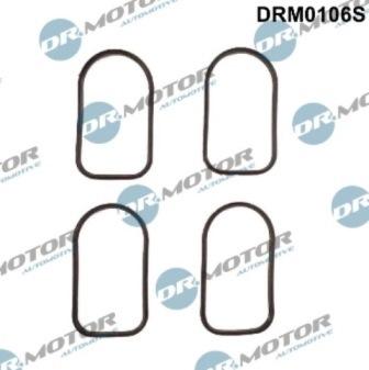 Lizarte DRM0106S - Kit guarnizioni, Collettore aspirazione autozon.pro