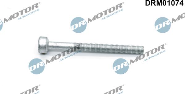 Lizarte DRM01074 - Bullone, Supporto iniettore autozon.pro