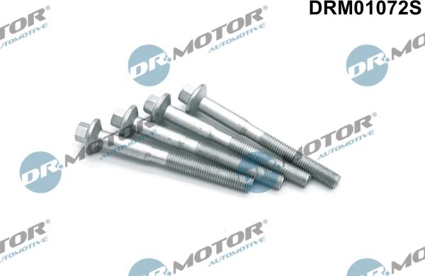 Lizarte DRM01072S - Bullone, Supporto iniettore autozon.pro