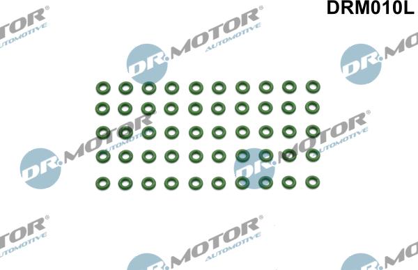 Lizarte DRM010L - Guarnizione, Portapolverizzatore autozon.pro