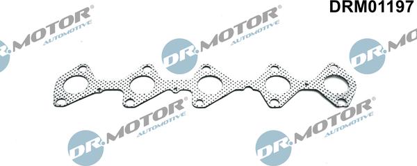 Lizarte DRM01197 - Guarnizione, Collettore gas scarico autozon.pro