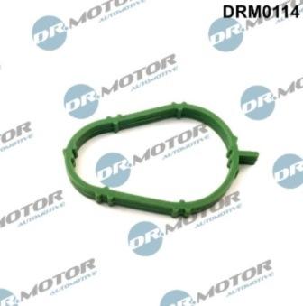 Lizarte DRM0114 - Guarnizione, Collettore aspirazione autozon.pro