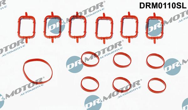 Lizarte DRM0110SL - Kit guarnizioni, Collettore aspirazione autozon.pro