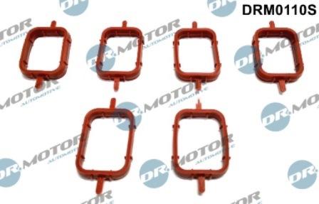 Lizarte DRM0110S - Kit guarnizioni, Collettore aspirazione autozon.pro