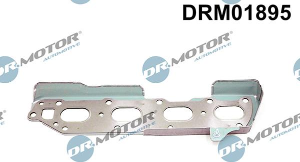 Lizarte DRM01895 - Guarnizione, Collettore gas scarico autozon.pro