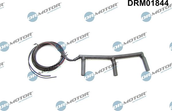 Lizarte DRM01844 - Kit riparazione cavi, Candeletta preriscaldamento autozon.pro