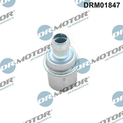 Lizarte DRM01847 - Valvola, Ventilazione carter autozon.pro