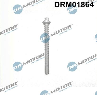 Lizarte DRM01864 - Bullone, Supporto iniettore autozon.pro