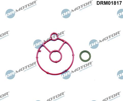 Lizarte DRM01817 - Kit guarnizioni, Radiatore olio autozon.pro