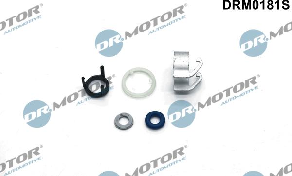 Lizarte DRM0181S - Kit riparazione, Iniettore autozon.pro