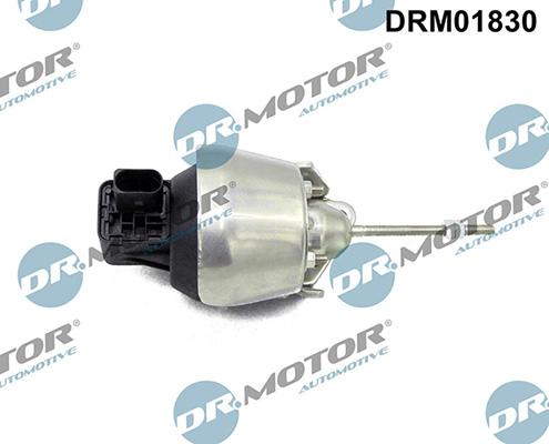 Lizarte DRM01830 - Valvola wastegate autozon.pro