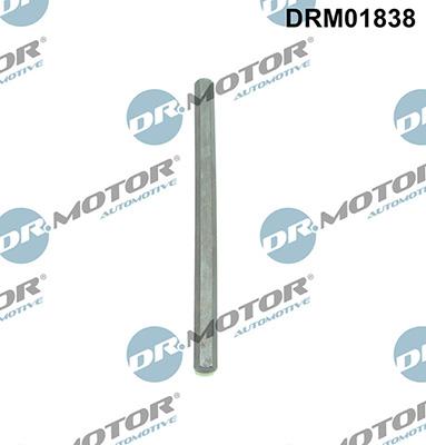 Lizarte DRM01838 - Albero motore, Pompa olio autozon.pro