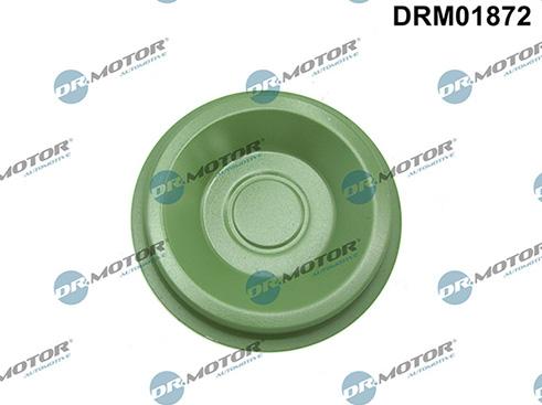 Lizarte DRM01872 - Coperchio a flangia, Cambio manuale autozon.pro