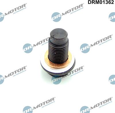 Lizarte DRM01362 - Vite di chiusura, vaschetta dell'olio autozon.pro