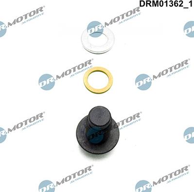 Lizarte DRM01362 - Vite di chiusura, vaschetta dell'olio autozon.pro