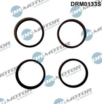 Lizarte DRM0133S - Kit guarnizioni, Collettore aspirazione autozon.pro