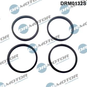 Lizarte DRM0132S - Kit guarnizioni, Collettore aspirazione autozon.pro