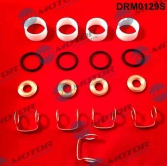 Lizarte DRM0129S - Kit guarnizioni, Iniettore autozon.pro