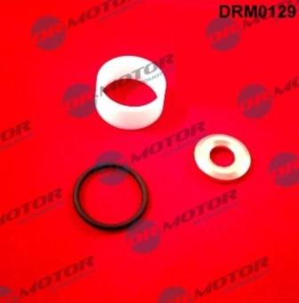 Lizarte DRM0129 - Kit guarnizioni, Iniettore autozon.pro