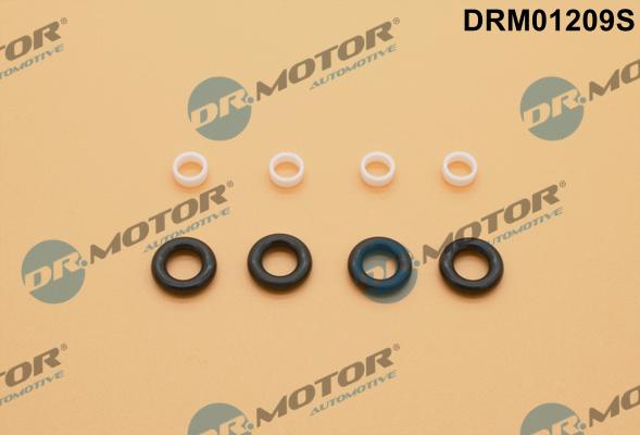 Lizarte DRM01209S - Kit guarnizioni, Iniettore autozon.pro