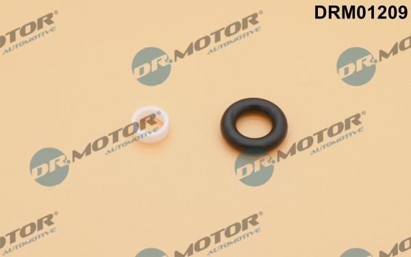 Lizarte DRM01209 - Kit guarnizioni, Iniettore autozon.pro