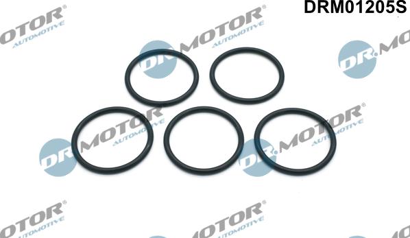 Lizarte DRM01205S - Kit guarnizioni, Pompa acqua autozon.pro