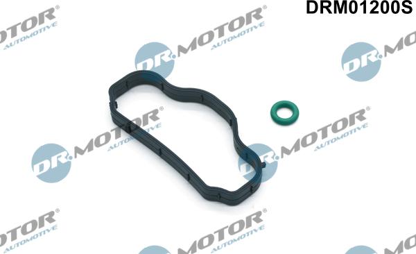 Lizarte DRM01200S - Kit guarnizioni, Copritestata autozon.pro