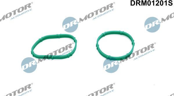 Lizarte DRM01201S - Kit guarnizioni, Collettore aspirazione autozon.pro