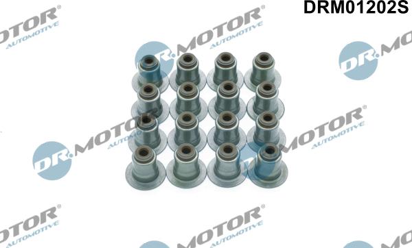 Lizarte DRM01202S - Kit guarnizioni, Stelo valvola autozon.pro