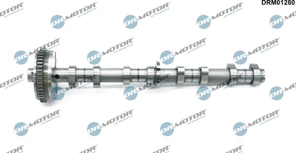 Lizarte DRM01280 - Albero a camme autozon.pro