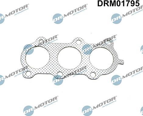 Lizarte DRM01795 - Guarnizione, Collettore gas scarico autozon.pro