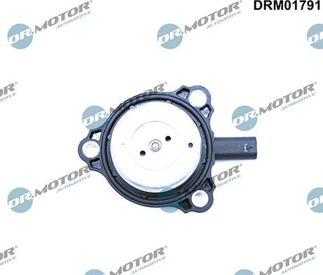 Lizarte DRM01791 - Magnete centrale, Regolazione albero a camme autozon.pro