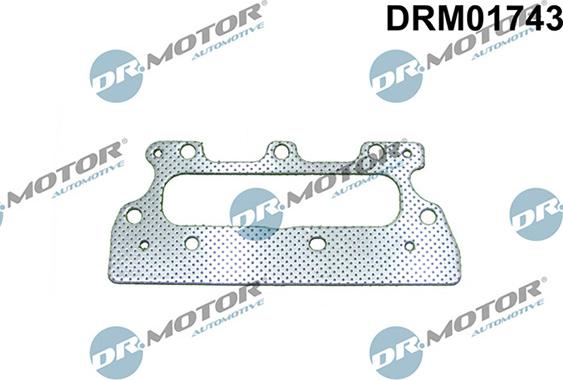 Lizarte DRM01743 - Guarnizione, Collettore gas scarico autozon.pro